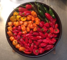 Chile Peppers Raw